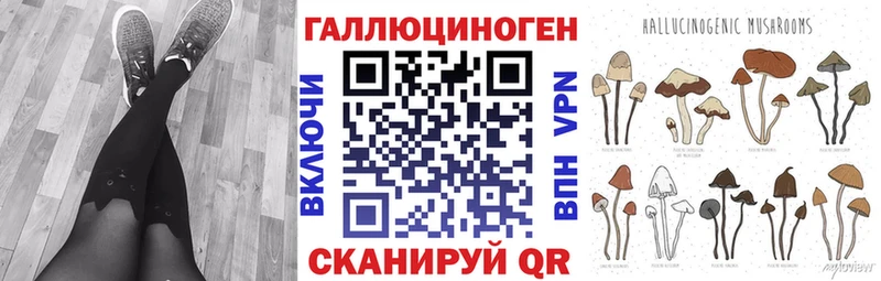 Галлюциногенные грибы Psilocybe  Нальчик 